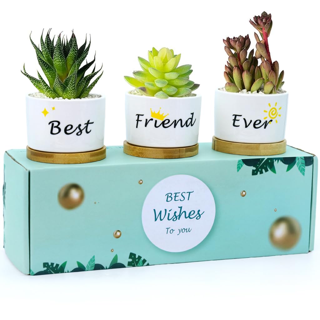 HASTHIP 3Pcs Ceramic Planters for Succulent with Wooden Tray & Gift Box, 3.1'' Small Ceramic Pot for Balcony Home Indoor & Outdoor, Highly Durable Succulent Pots for Friends Gift HASTHIP 3Pcs Ceramic Planters for Succulent with Wooden Tray & Gift Box, 3.1'' Small Ceramic Pot for Balcony Home Indoor & Outdoor, Highly Durable Succulent Pots for Friends Gift
